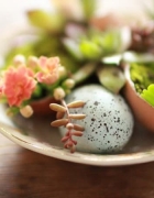 Yes Missy Goes Cross Country for a Canadian Road Trip