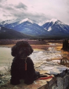 DIY Bracelet: Cross Style Chain Woven Bracelet