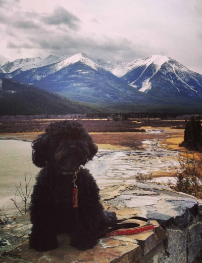 Yes Missy Goes Cross Country for a Canadian Road Trip