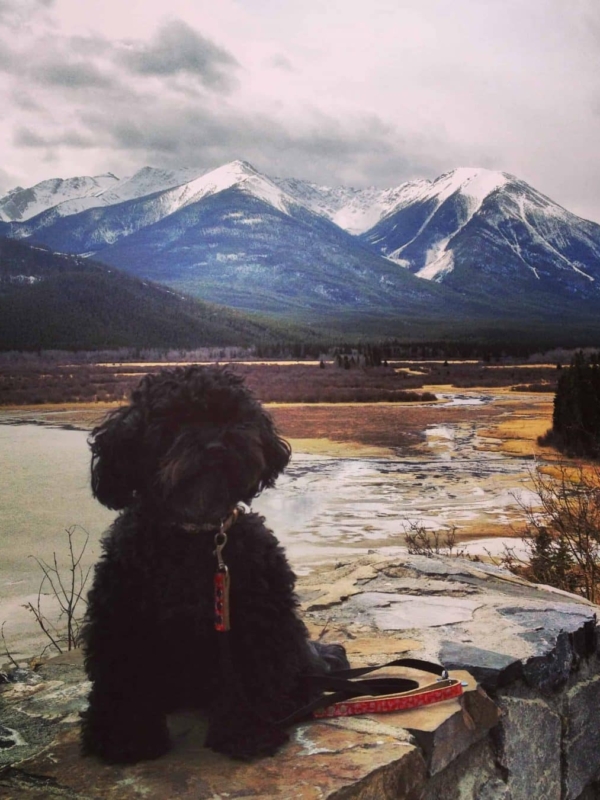 Yes Missy Goes Cross Country for a Canadian Road Trip