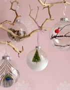 Tropical Escape – Winter Vacation