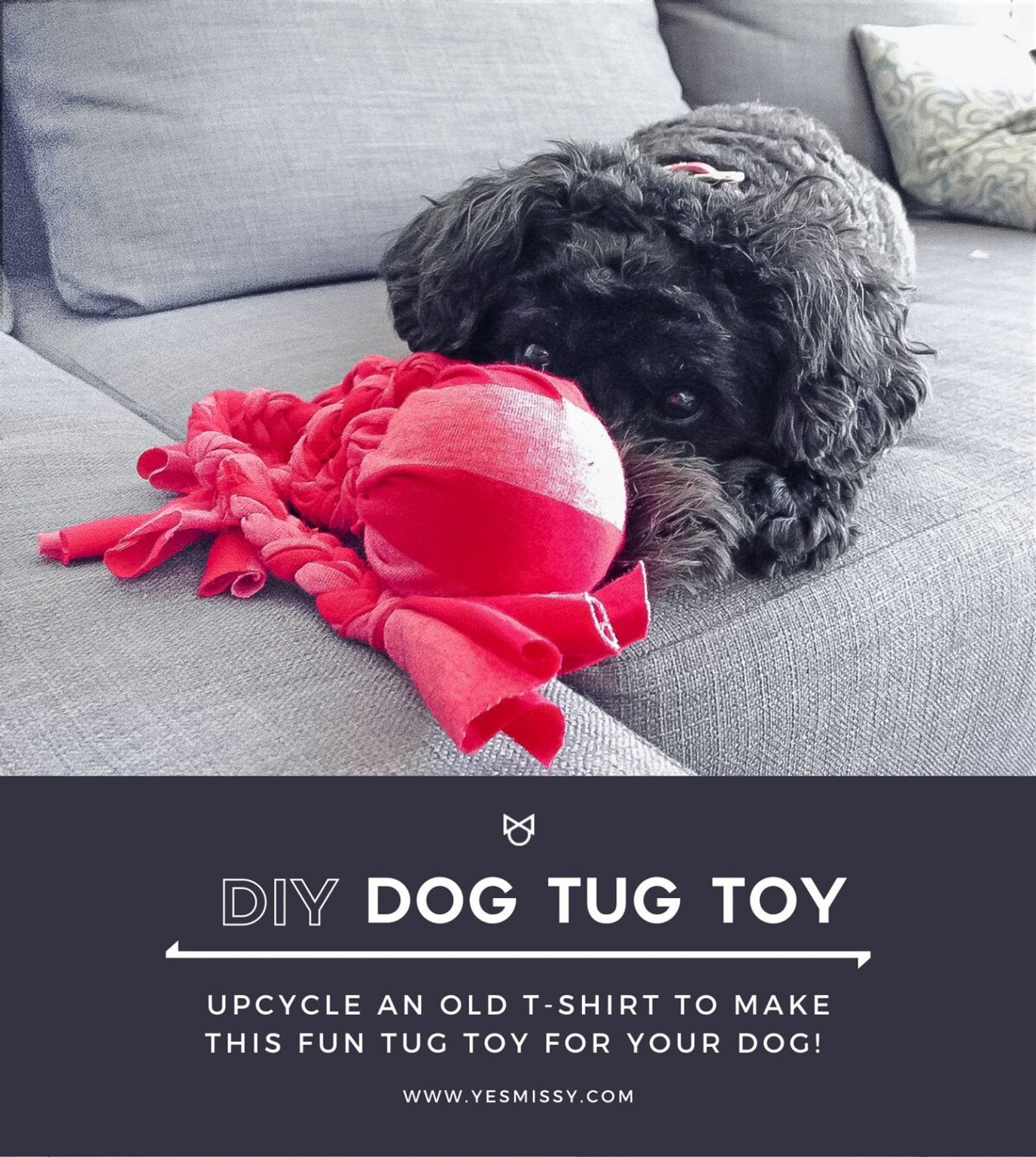 DIY Dog Toy Your Dog Will Love this Easy to Make Tug Toy YesMissy