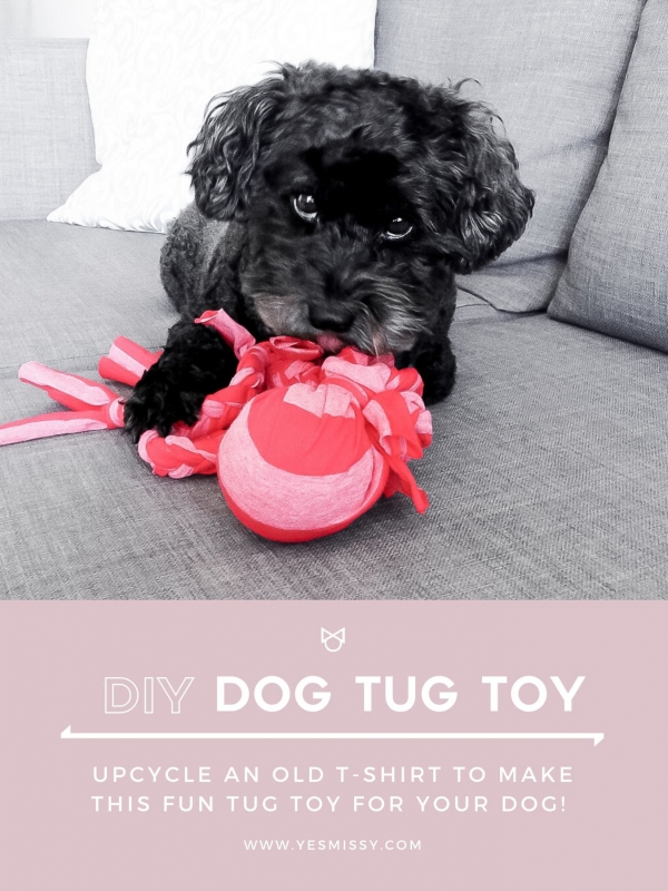 DIY: Dog Tug Toy