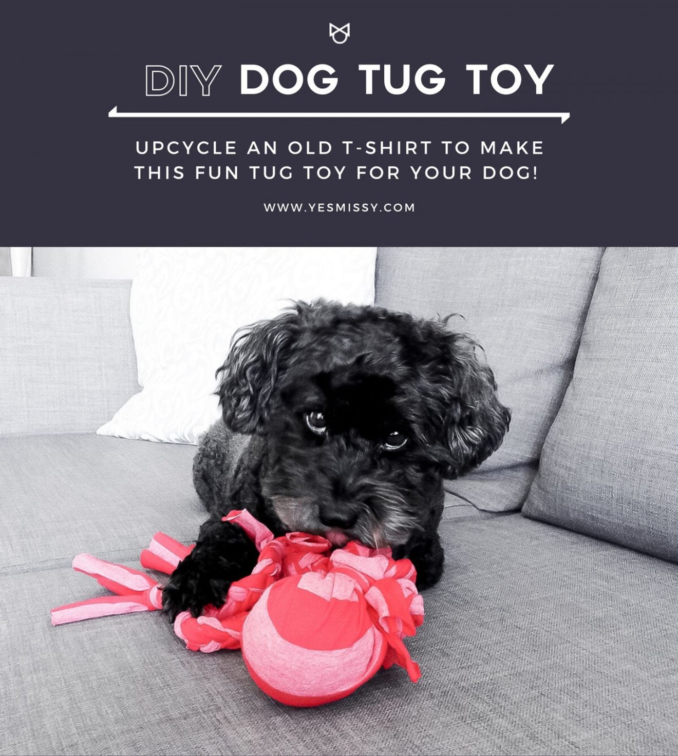DIY Dog Toy Your Dog Will Love this Easy to Make Tug Toy YesMissy