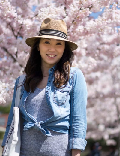 Cherry Blossoms in the Springtime