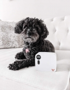 This Hair Tool Help Me Master the Blowout