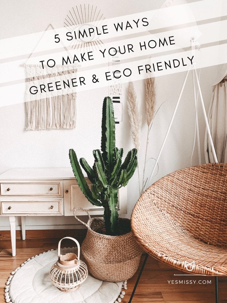 How to go Green at Home and Live More Sustainably - YesMissy