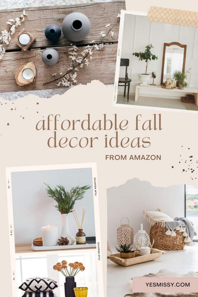 Affordable Fall Decor Ideas from Amazon YesMissy