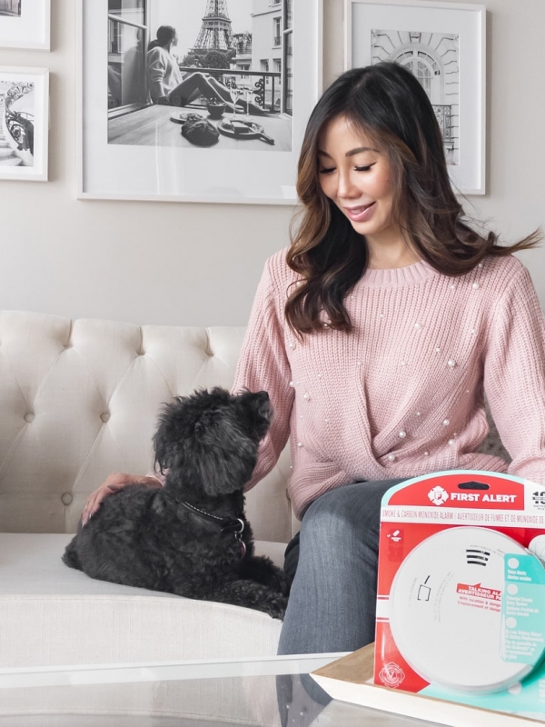 Fire Safety Tips That Will Help Protect You and Your Dog