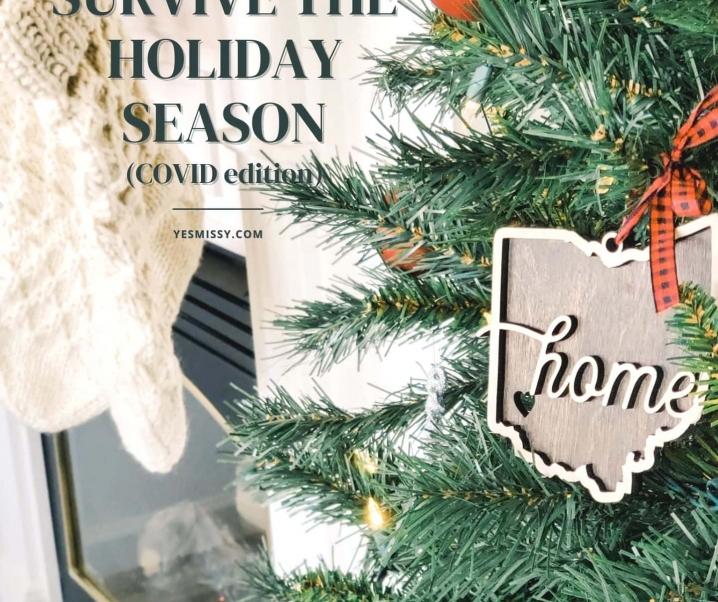 How to Survive the Holiday Season (COVID Edition)