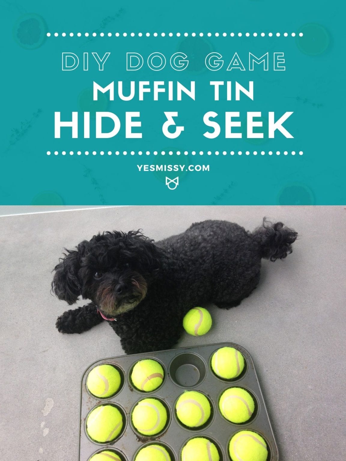 Dog Games Muffin Tin Treat Game