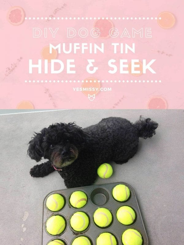 DIY Dog Game: Muffin Tin Hide & Seek